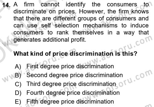 Industrial Economics Dersi 2023 - 2024 Yılı Yaz Okulu Sınav Soruları 14. Soru