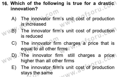 Industrial Economics Dersi 2023 - 2024 Yılı Yaz Okulu Sınav Soruları 16. Soru