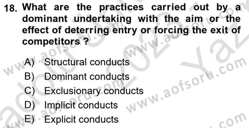 Industrial Economics Dersi 2023 - 2024 Yılı Yaz Okulu Sınav Soruları 18. Soru