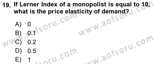 Industrial Economics Dersi 2023 - 2024 Yılı Yaz Okulu Sınav Soruları 19. Soru