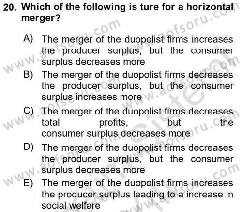 Industrial Economics Dersi 2023 - 2024 Yılı Yaz Okulu Sınav Soruları 20. Soru