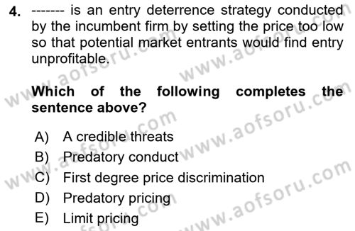 Industrial Economics Dersi 2023 - 2024 Yılı Yaz Okulu Sınav Soruları 4. Soru