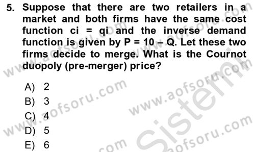 Industrial Economics Dersi 2023 - 2024 Yılı Yaz Okulu Sınav Soruları 5. Soru