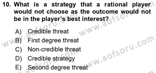 Industrial Economics Dersi 2024 - 2025 Yılı (Vize) Ara Sınav Soruları 10. Soru