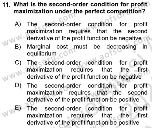 Industrial Economics Dersi 2024 - 2025 Yılı (Vize) Ara Sınav Soruları 11. Soru