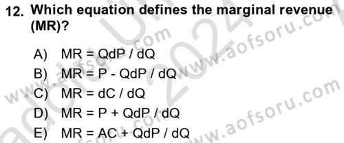 Industrial Economics Dersi 2024 - 2025 Yılı (Vize) Ara Sınav Soruları 12. Soru