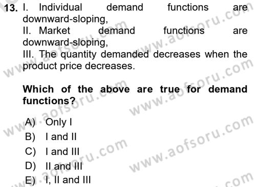 Industrial Economics Dersi 2024 - 2025 Yılı (Vize) Ara Sınav Soruları 13. Soru