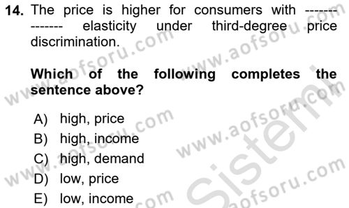 Industrial Economics Dersi 2024 - 2025 Yılı (Vize) Ara Sınav Soruları 14. Soru