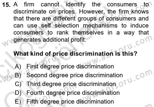 Industrial Economics Dersi 2024 - 2025 Yılı (Vize) Ara Sınav Soruları 15. Soru