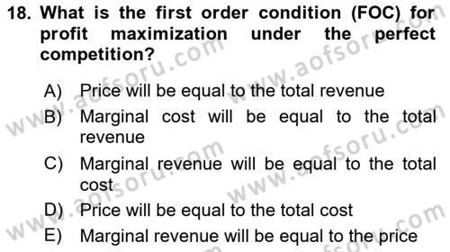 Industrial Economics Dersi 2024 - 2025 Yılı (Vize) Ara Sınav Soruları 18. Soru