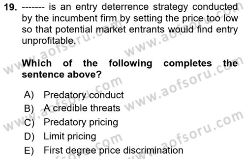 Industrial Economics Dersi 2024 - 2025 Yılı (Vize) Ara Sınav Soruları 19. Soru