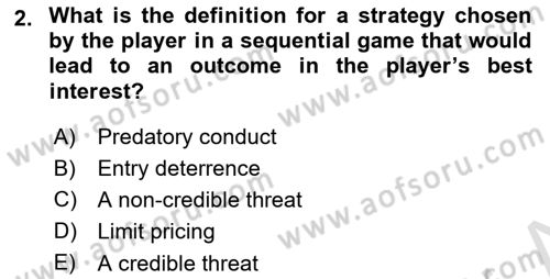 Industrial Economics Dersi 2024 - 2025 Yılı (Vize) Ara Sınav Soruları 2. Soru