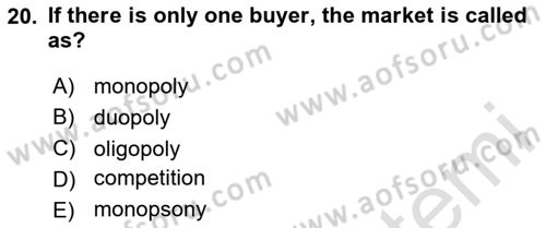 Industrial Economics Dersi 2024 - 2025 Yılı (Vize) Ara Sınav Soruları 20. Soru