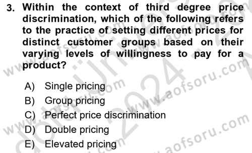 Industrial Economics Dersi 2024 - 2025 Yılı (Vize) Ara Sınav Soruları 3. Soru