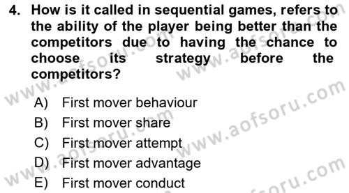 Industrial Economics Dersi 2024 - 2025 Yılı (Vize) Ara Sınav Soruları 4. Soru