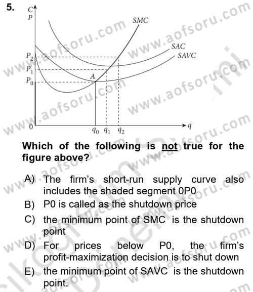 Industrial Economics Dersi 2024 - 2025 Yılı (Vize) Ara Sınav Soruları 5. Soru