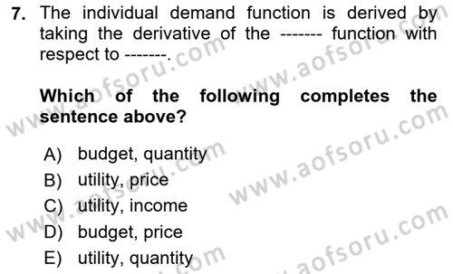 Industrial Economics Dersi 2024 - 2025 Yılı (Vize) Ara Sınav Soruları 7. Soru