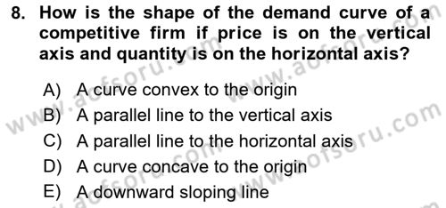 Industrial Economics Dersi 2024 - 2025 Yılı (Vize) Ara Sınav Soruları 8. Soru