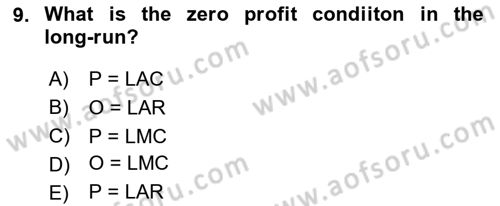 Industrial Economics Dersi 2024 - 2025 Yılı (Vize) Ara Sınav Soruları 9. Soru
