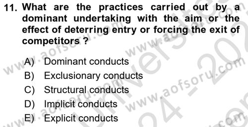 Industrial Economics Dersi 2024 - 2025 Yılı (Final) Dönem Sonu Sınav Soruları 11. Soru