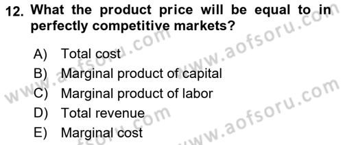 Industrial Economics Dersi 2024 - 2025 Yılı (Final) Dönem Sonu Sınav Soruları 12. Soru