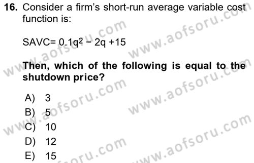 Industrial Economics Dersi 2024 - 2025 Yılı (Final) Dönem Sonu Sınav Soruları 16. Soru