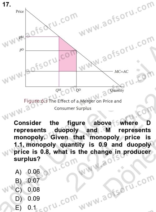 Industrial Economics Dersi 2024 - 2025 Yılı (Final) Dönem Sonu Sınav Soruları 17. Soru
