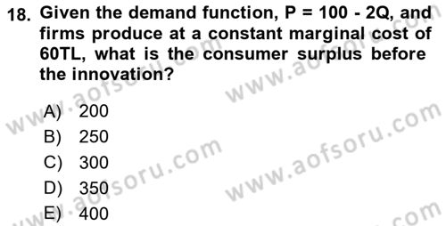 Industrial Economics Dersi 2024 - 2025 Yılı (Final) Dönem Sonu Sınav Soruları 18. Soru