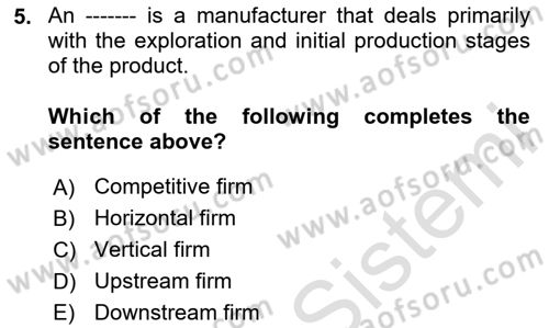 Industrial Economics Dersi 2024 - 2025 Yılı (Final) Dönem Sonu Sınav Soruları 5. Soru