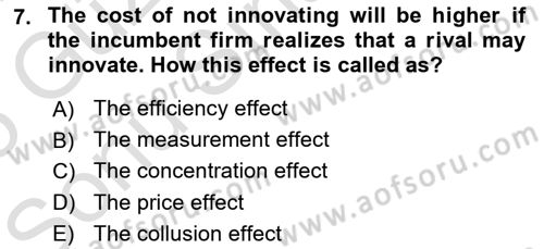 Industrial Economics Dersi 2024 - 2025 Yılı (Final) Dönem Sonu Sınav Soruları 7. Soru