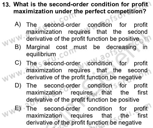 Industrial Economics Dersi Yaz Okulu Sınavı Deneme Sınav Soruları 13. Soru