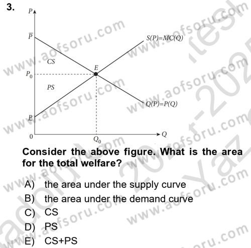 Industrial Economics Dersi Yaz Okulu Sınavı Deneme Sınav Soruları 3. Soru