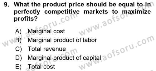 Industrial Economics Dersi 2024 - 2025 Yılı Yaz Okulu Sınav Soruları 9. Soru