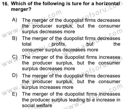 Industrial Economics Dersi 2025 - 2026 Yılı (Final) Dönem Sonu Sınav Soruları 16. Soru