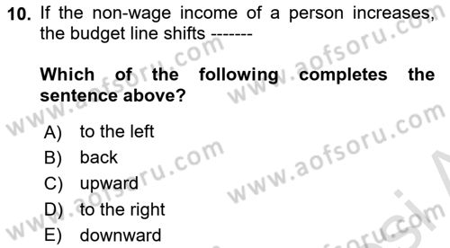 Labor Economics Dersi 2023 - 2024 Yılı (Vize) Ara Sınav Soruları 10. Soru