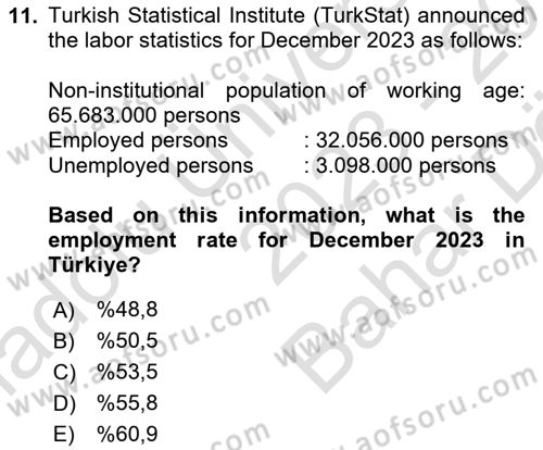 Labor Economics Dersi 2023 - 2024 Yılı (Vize) Ara Sınav Soruları 11. Soru