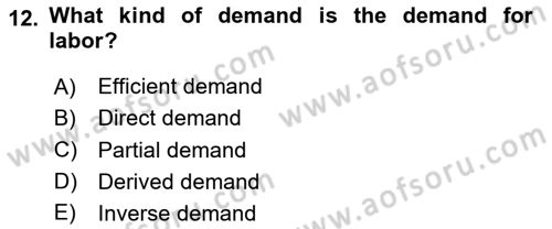 Labor Economics Dersi 2023 - 2024 Yılı (Vize) Ara Sınav Soruları 12. Soru