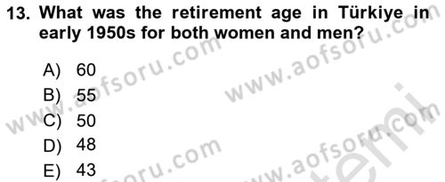 Labor Economics Dersi 2023 - 2024 Yılı (Vize) Ara Sınav Soruları 13. Soru