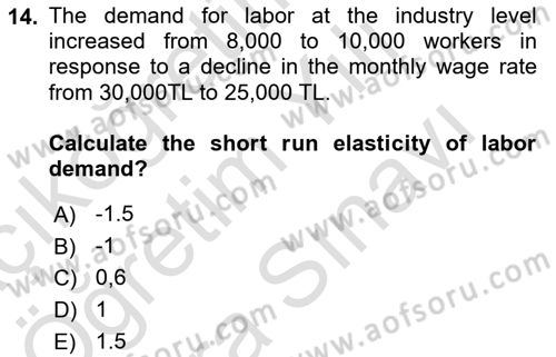 Labor Economics Dersi 2023 - 2024 Yılı (Vize) Ara Sınav Soruları 14. Soru