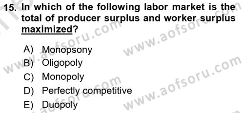 Labor Economics Dersi 2023 - 2024 Yılı (Vize) Ara Sınav Soruları 15. Soru