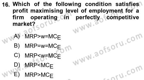 Labor Economics Dersi 2023 - 2024 Yılı (Vize) Ara Sınav Soruları 16. Soru