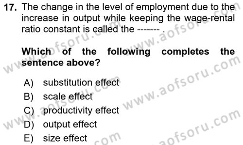 Labor Economics Dersi 2023 - 2024 Yılı (Vize) Ara Sınav Soruları 17. Soru