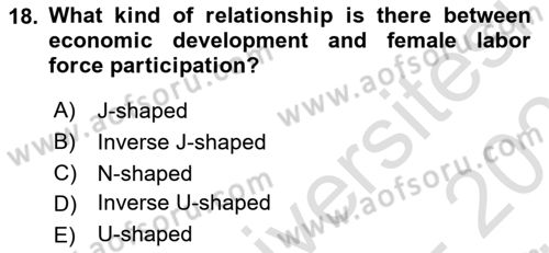 Labor Economics Dersi 2023 - 2024 Yılı (Vize) Ara Sınav Soruları 18. Soru