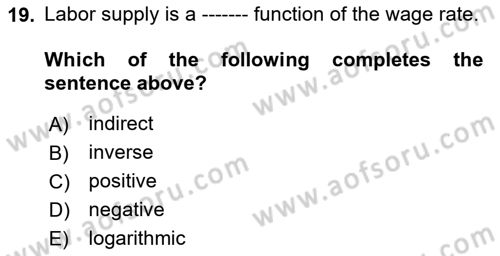 Labor Economics Dersi 2023 - 2024 Yılı (Vize) Ara Sınav Soruları 19. Soru