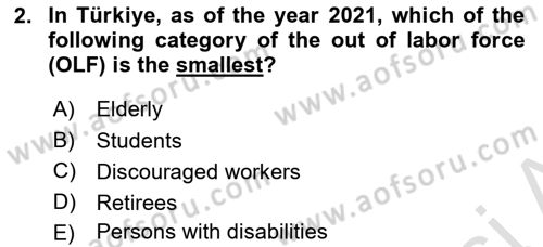 Labor Economics Dersi 2023 - 2024 Yılı (Vize) Ara Sınav Soruları 2. Soru