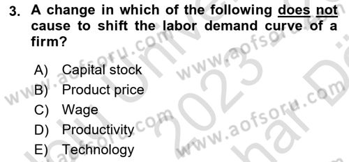Labor Economics Dersi 2023 - 2024 Yılı (Vize) Ara Sınav Soruları 3. Soru