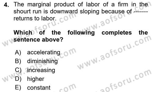 Labor Economics Dersi 2023 - 2024 Yılı (Vize) Ara Sınav Soruları 4. Soru