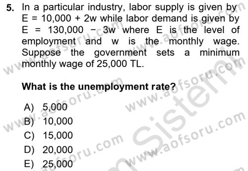 Labor Economics Dersi 2023 - 2024 Yılı (Vize) Ara Sınav Soruları 5. Soru