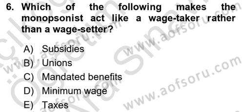 Labor Economics Dersi 2023 - 2024 Yılı (Vize) Ara Sınav Soruları 6. Soru