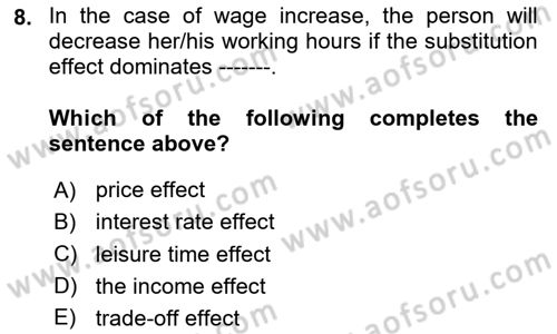 Labor Economics Dersi 2023 - 2024 Yılı (Vize) Ara Sınav Soruları 8. Soru